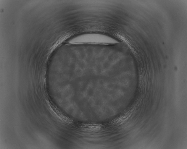 X0000087320443200705181015