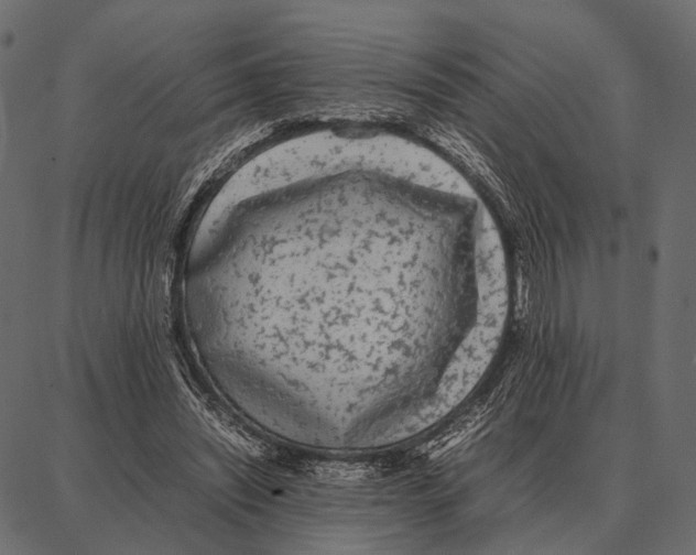 X0000087320444200705181015