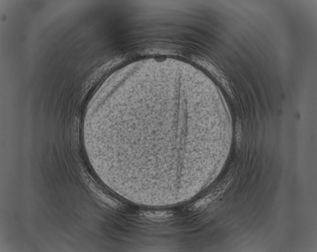 X0000087320445200705181015