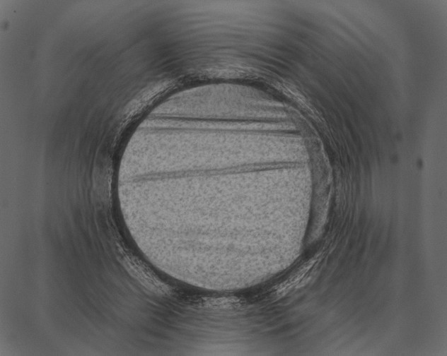 X0000087320446200705181015