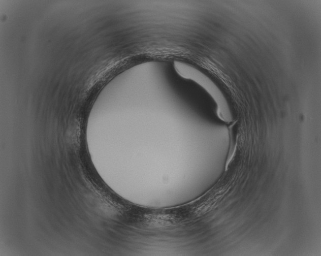 X0000087320448200705181015