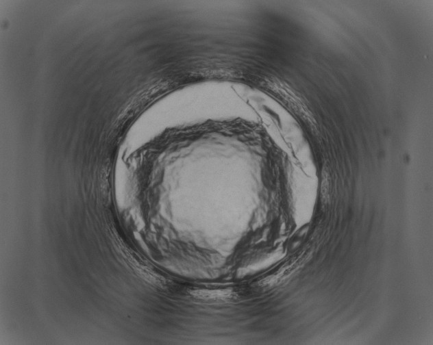 X0000087320449200705181015