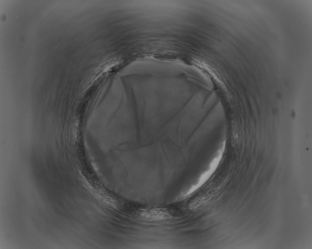 X0000087320451200705181015