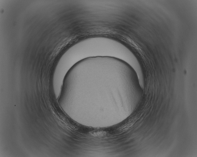 X0000087320452200705181015