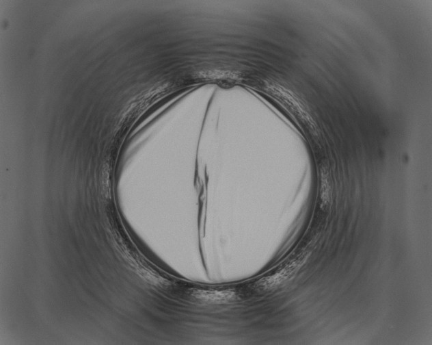 X0000087320453200705181015