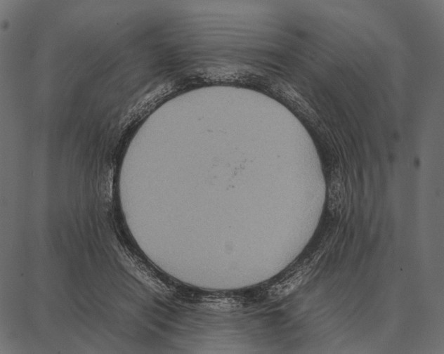 X0000087320454200705181015