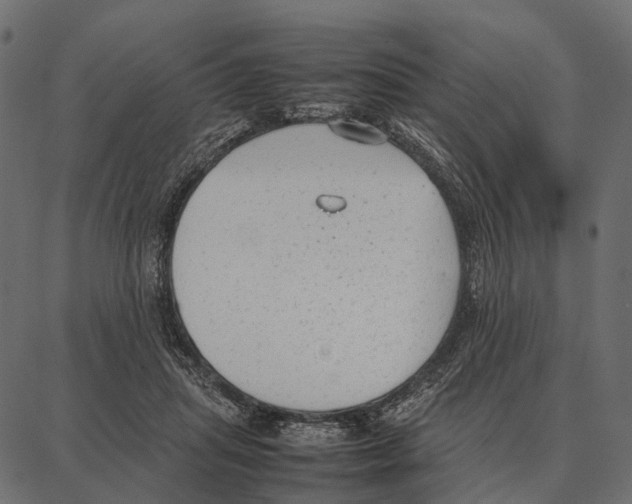 X0000087320455200705181015