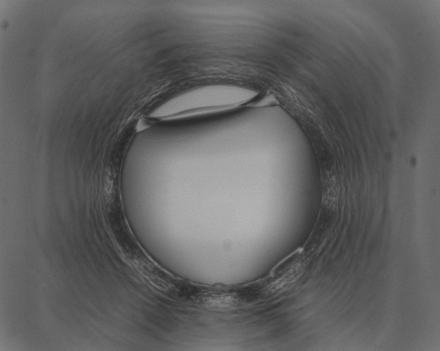 X0000087320456200705181015