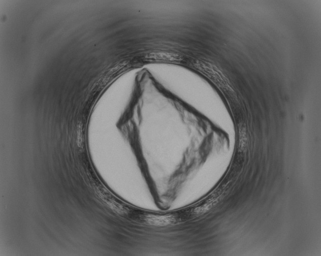 X0000087320457200705181015