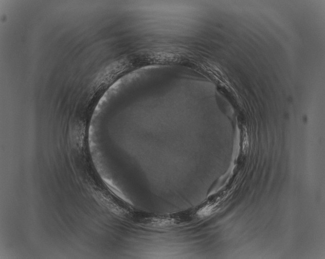 X0000087320458200705181015