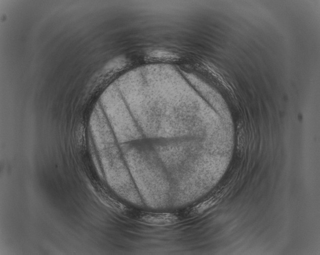 X0000087320459200705181015