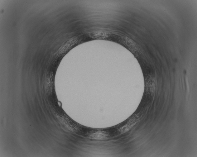 X0000087320460200705181015