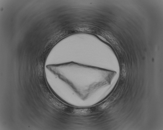 X0000087320461200705181015