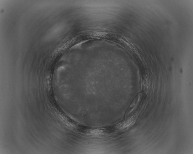 X0000087320462200705181015