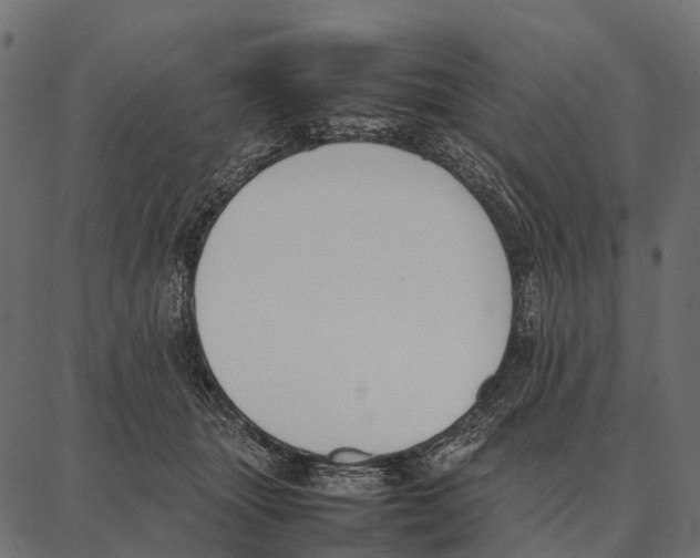 X0000087320463200705181015