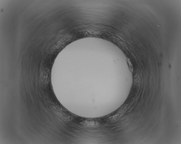 X0000087320464200705181015