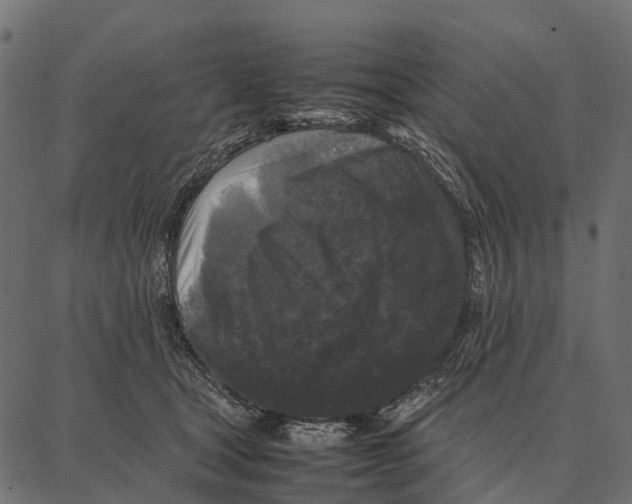 X0000087320465200705181015