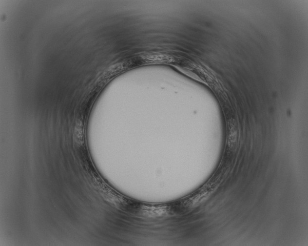 X0000087320469200705181015