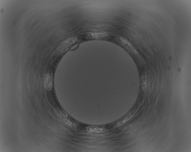 X0000087320471200705181015