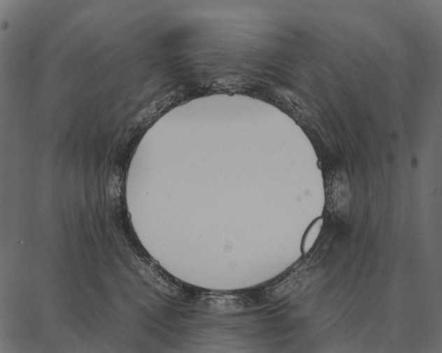 X0000087320472200705181015