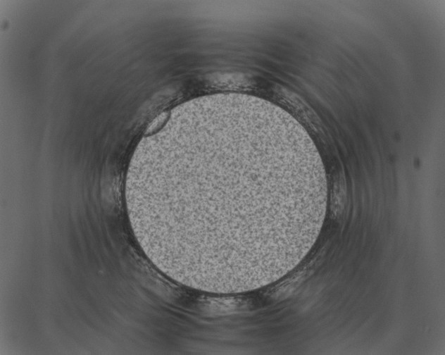 X0000087320473200705181015