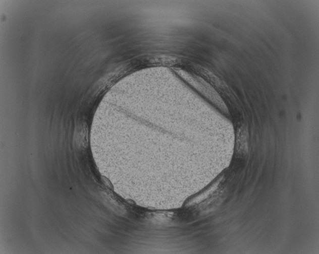 X0000087320474200705181015