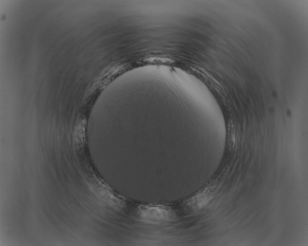 X0000087320475200705181015