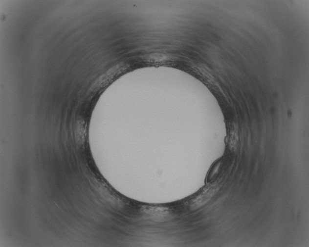 X0000087320476200705181015