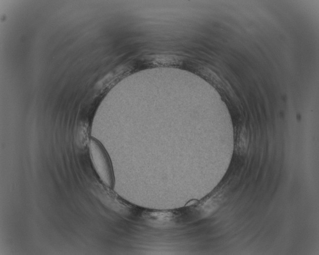 X0000087320478200705181016