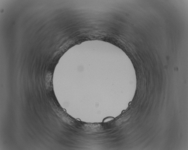 X0000087320480200705181016