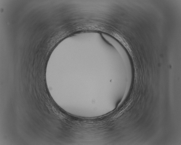 X0000087320481200705181015