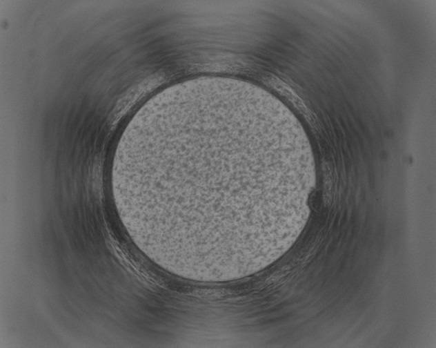 X0000087320482200705181015