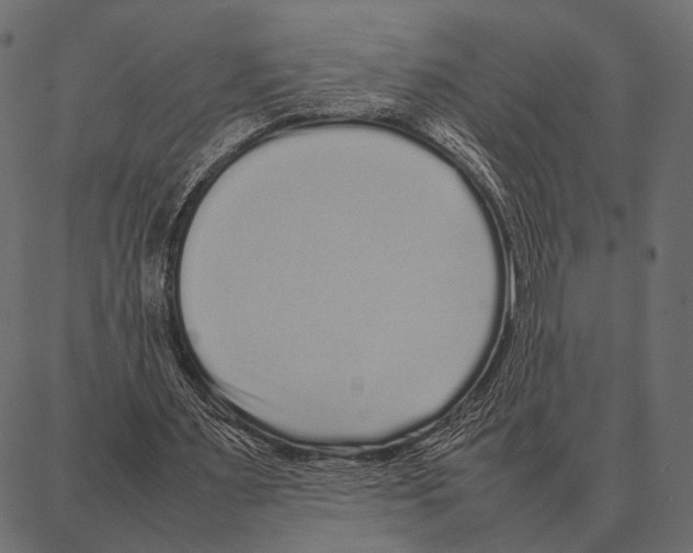 X0000087320483200705181015