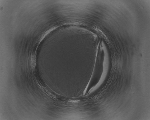 X0000087320484200705181015