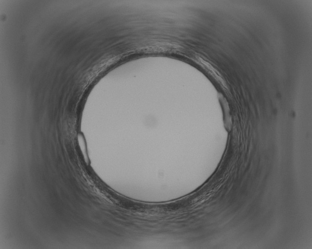 X0000087320485200705181015