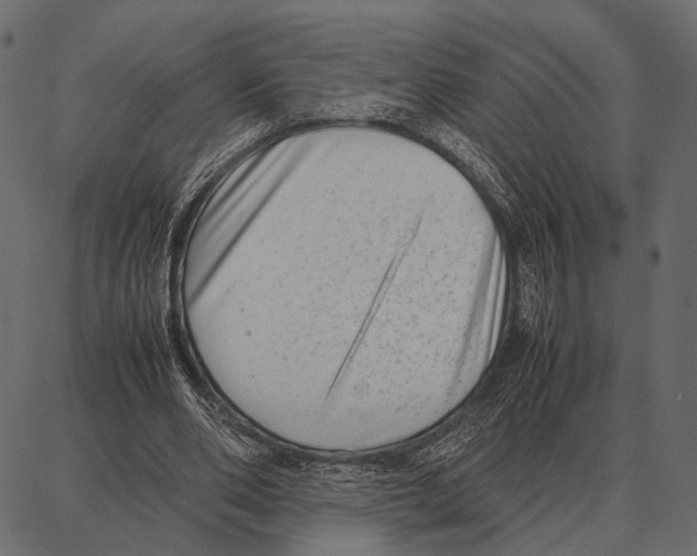 X0000087320486200705181015