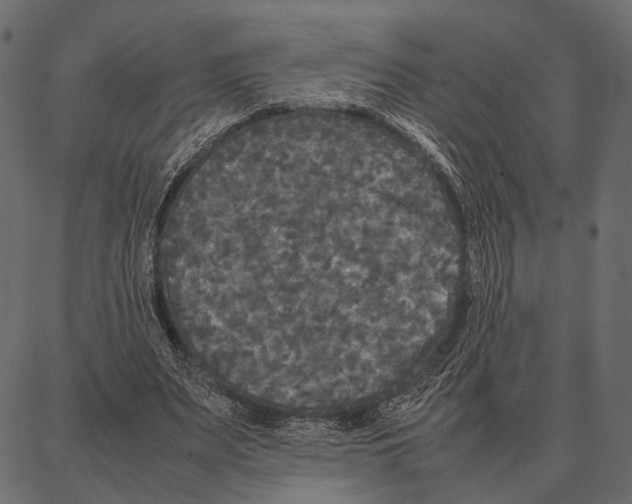 X0000087320487200705181015