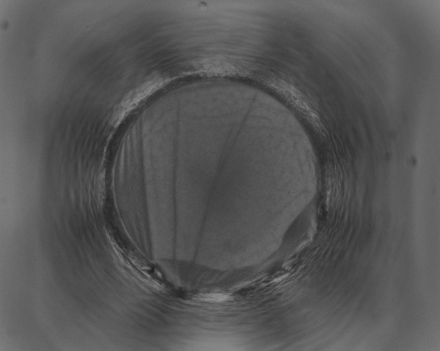 X0000087320488200705181015