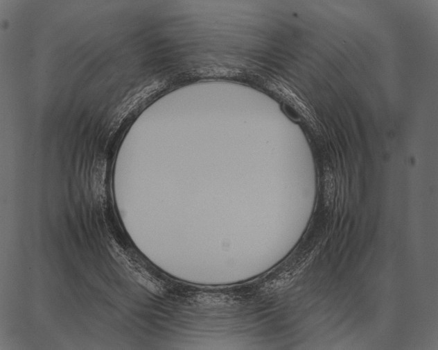 X0000087320490200705181015