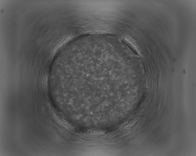 X0000087320491200705181015