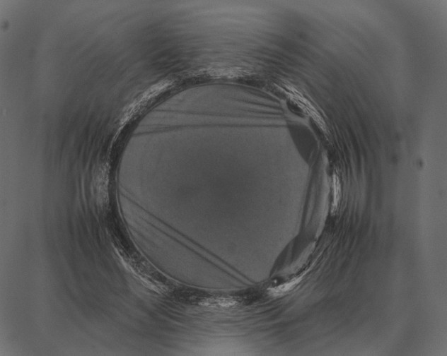 X0000087320492200705181015