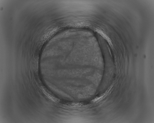 X0000087320493200705181015