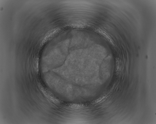 X0000087320494200705181015