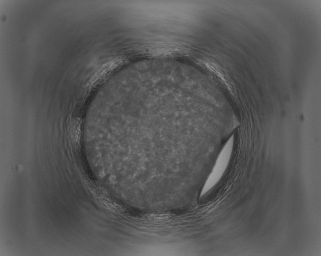 X0000087320495200705181015