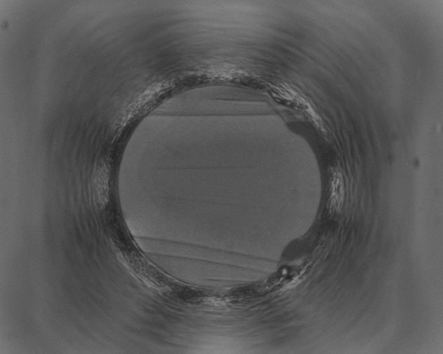 X0000087320496200705181015