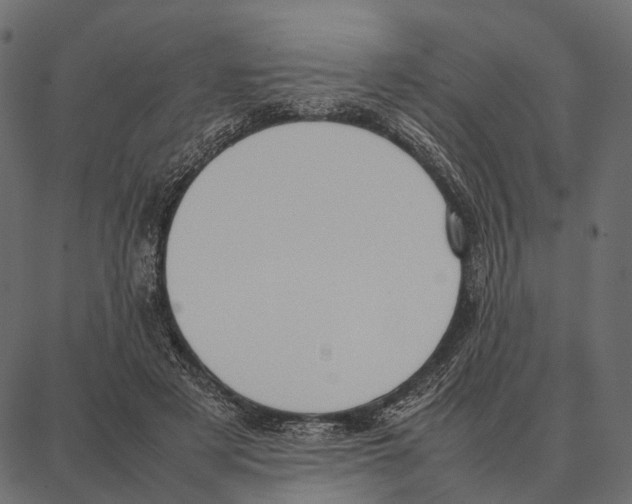 X0000087320497200705181014