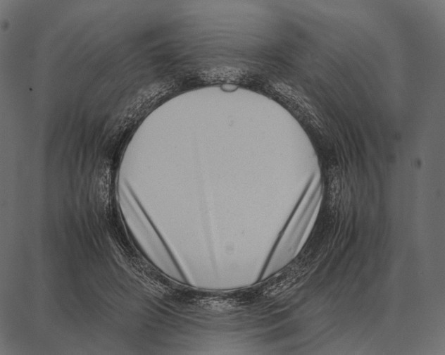 X0000087320498200705181014