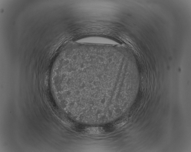 X0000087320499200705181014