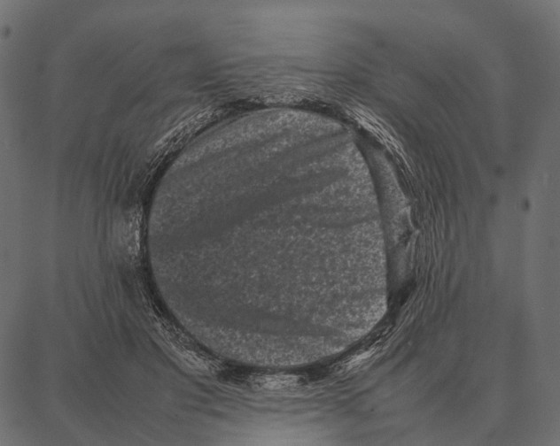 X0000087320501200705181014