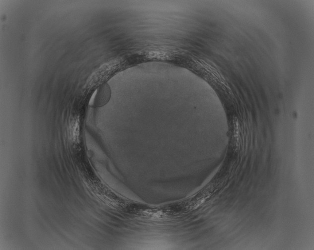 X0000087320502200705181014